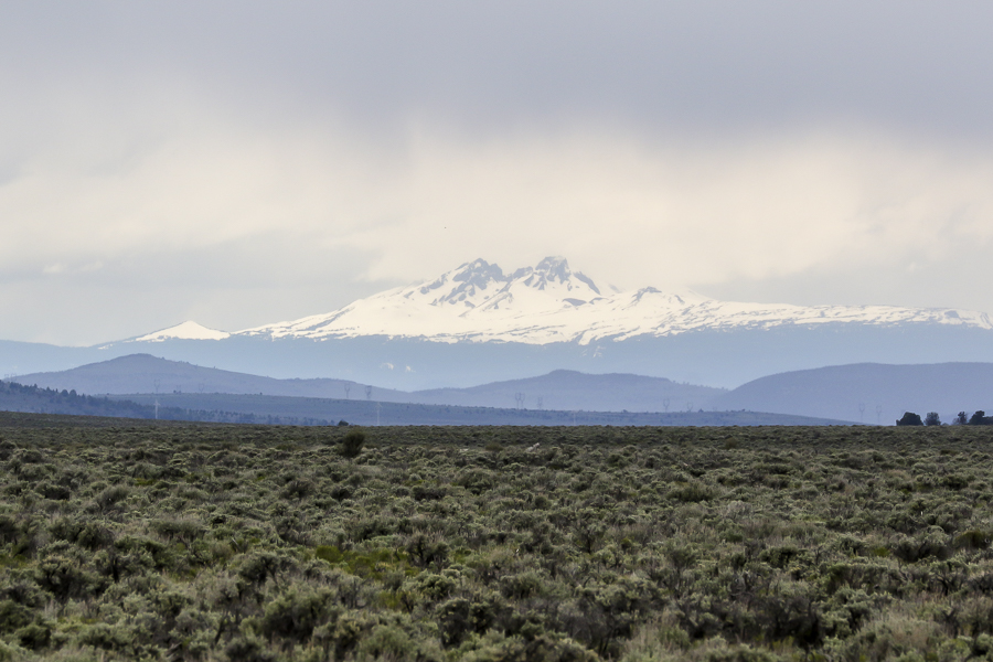 Spring_Thunder_2019-43